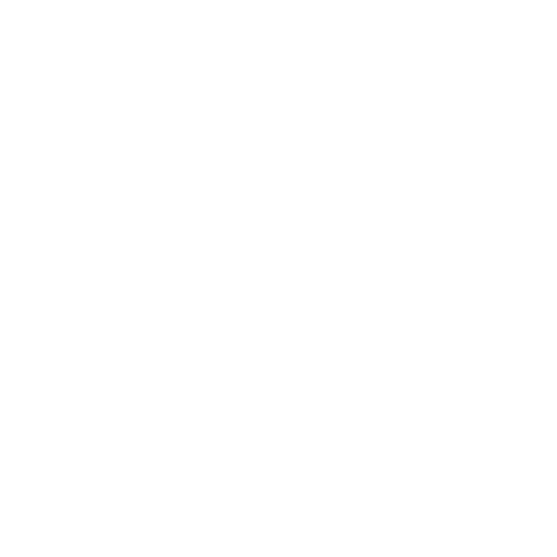 VINSTARA STORE